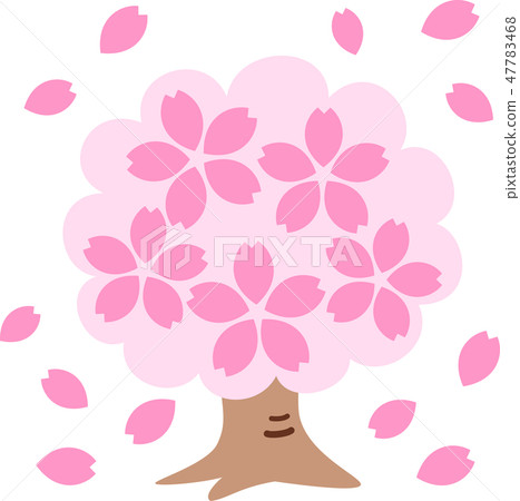 Sakuragi花瓣盛開粉紅色 Sakuragi花瓣盛開粉紅色 47783468