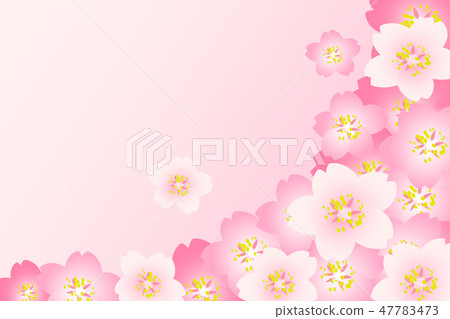 櫻桃背景粉紅色漸變 插圖素材 圖庫