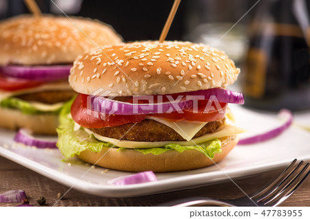 Hamburger with double cheese, red onions and tomat Hamburger with double cheese, red onions and tomat 47783955