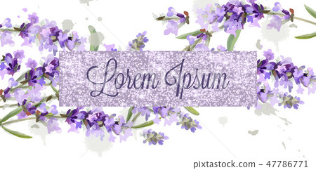 Lavender card watercolor Vector. Flowers bouque Lavender card watercolor Vector. Flowers bouque 47786771