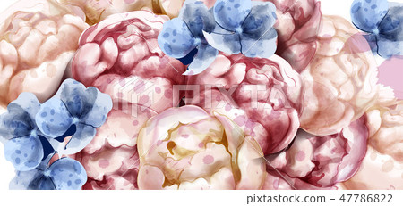 Colorful peony flowers watercolor banner Vector 47786822
