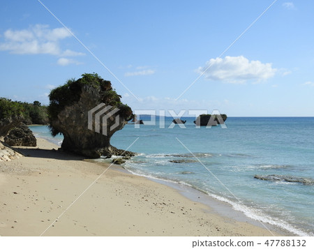 海 海 47788132
