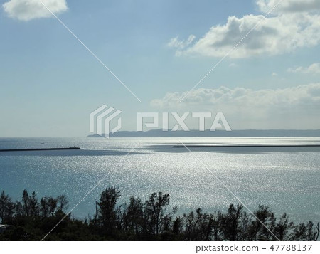 海 海 47788137