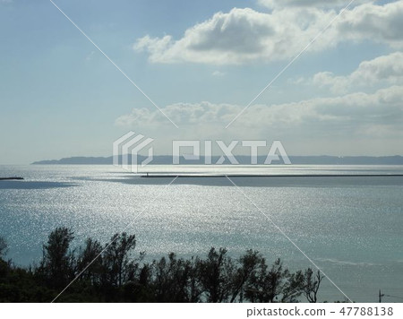 海 47788138