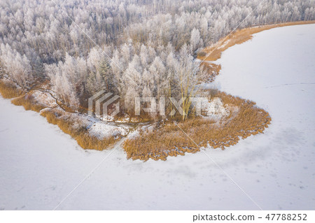 Rime and hoarfrost covering trees. 47788252