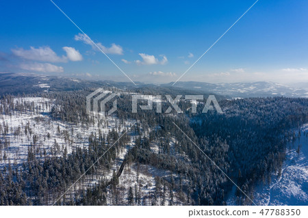 Winter scenery in Silesian Beskids mountains. Winter scenery in Silesian Beskids mountains. 47788350