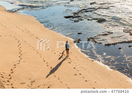 Woman Dog Walking Beach Overhead Woman Dog Walking Beach Overhead 47788410