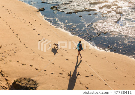 Woman Dog Walking Beach Overhead Woman Dog Walking Beach Overhead 47788411