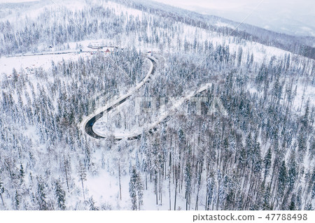 Curvy windy road in snow covered forest, top down 47788498