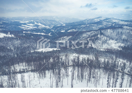 Winter scenery in Silesian Beskids mountains. 47788641