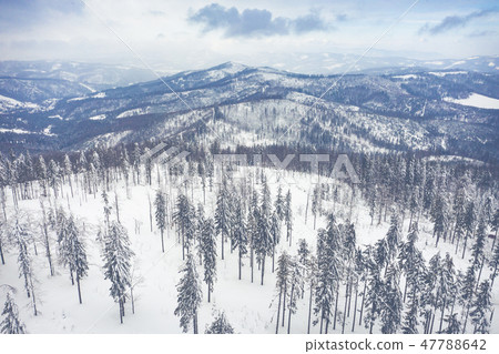 Winter scenery in Silesian Beskids mountains. 47788642