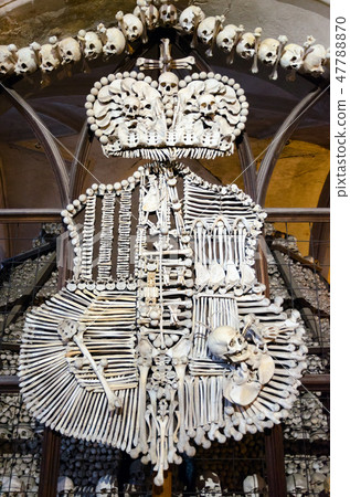 Schwarzenberg family coat of arms in Kostnice 47788870