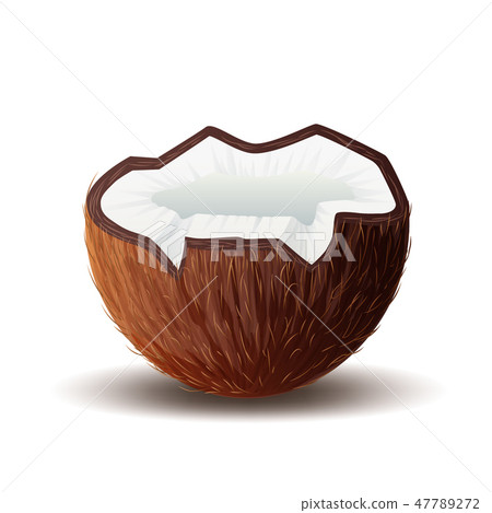 Coconut icon, broken coconut isolated in white 47789272