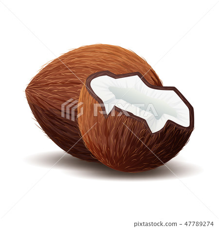 Coconut icon, broken coconut isolated in white 47789274
