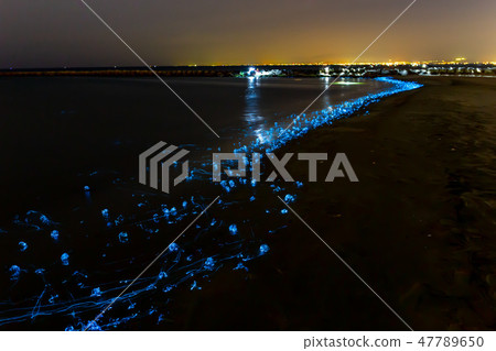 富山_Hotaruica的投擲 富山_Hotaruica的投擲 47789650