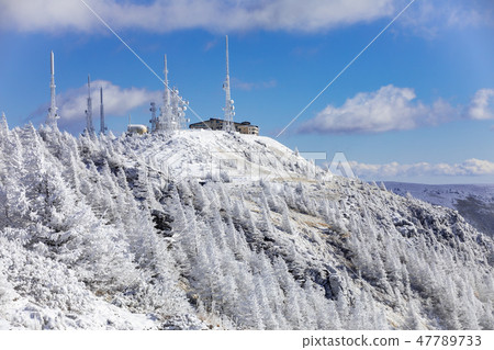 Winter Mikigahara Oji-head 47789733