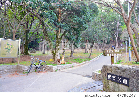 Yonomiya Park 47790248