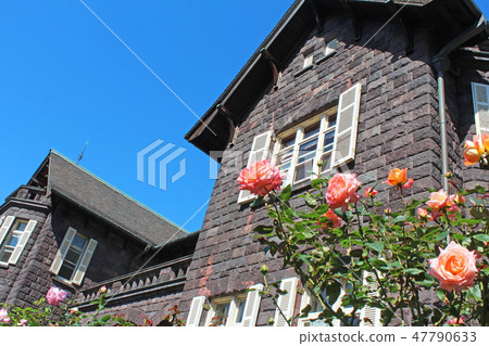 前古河住宅的玫瑰 前古河住宅的玫瑰 47790633