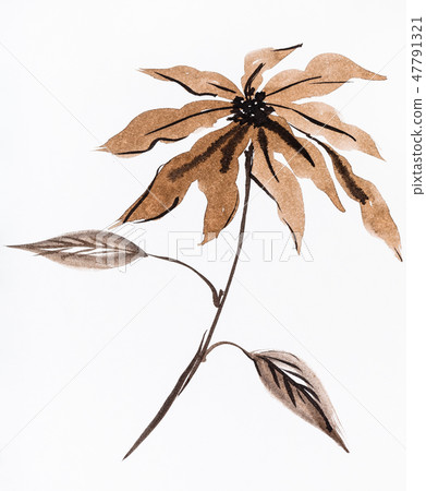 flower hand painted by brown watercolours flower hand painted by brown watercolours 47791321