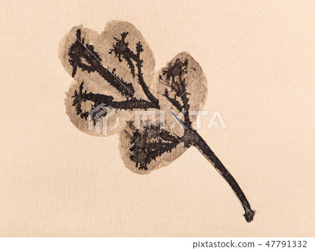 oak leaf handpainted by black watercolors 47791332