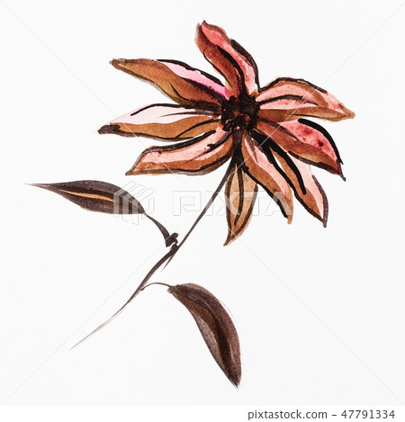 poinsettia flower handpainted by brown watercolors 47791334