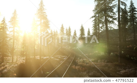 Flight Over A Railway Surrounded By Forest Flight Over A Railway Surrounded By Forest 47791522