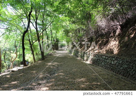 Daikichi Mountain Climbing Road 47791661