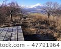 Mount Fuji from Higashiyama mountain peak 47791964