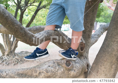Children climbing trees Children climbing trees 47793842