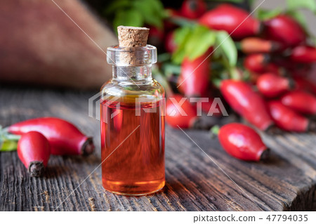 A bottle of rosehip seed oil with fresh rosehips A bottle of rosehip seed oil with fresh rosehips 47794035