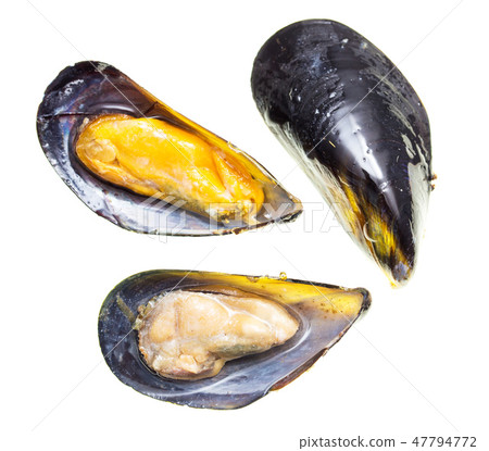 Mussels in the sink over white background Mussels in the sink over white background 47794772