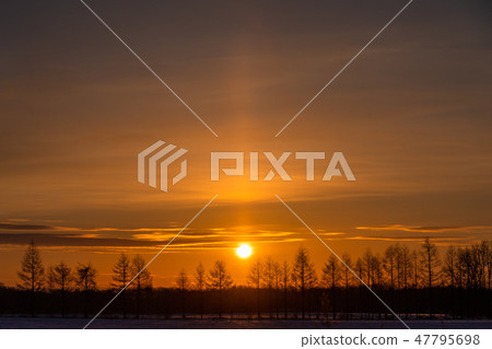 “北海道”太陽極·黎明的自然現象 “北海道”太陽極·黎明的自然現象 47795698