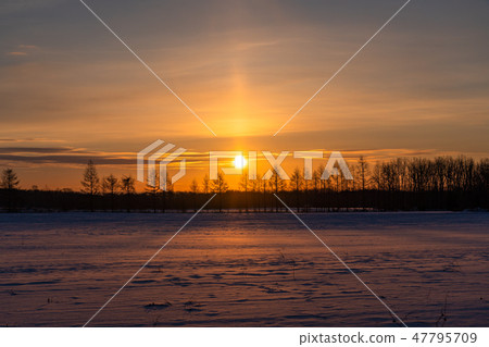“北海道”太陽極·黎明的自然現象 “北海道”太陽極·黎明的自然現象 47795709