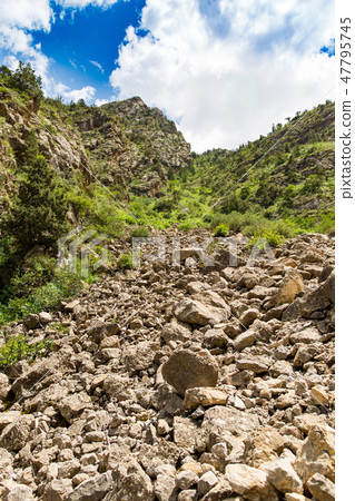 Beautiful nature in the Himalayas in spring 47795745