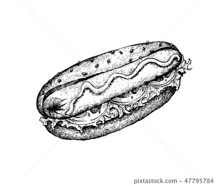 Hot Dog With Mustard Hand Drawing Stock Illustration - Download