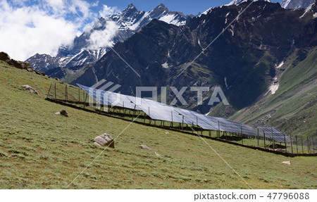 Field with rows of blue solar panels in grassland  47796088