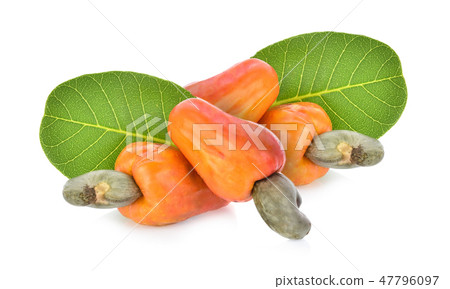 Red cashew fruit isolated on white background Red cashew fruit isolated on white background 47796097