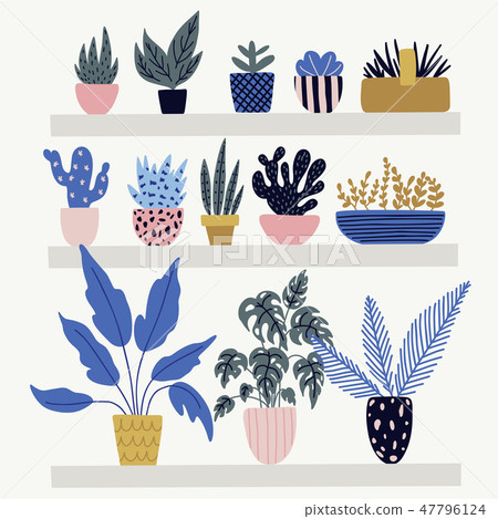 Botanic collection with and flower pots. Botanic collection with and flower pots. 47796124