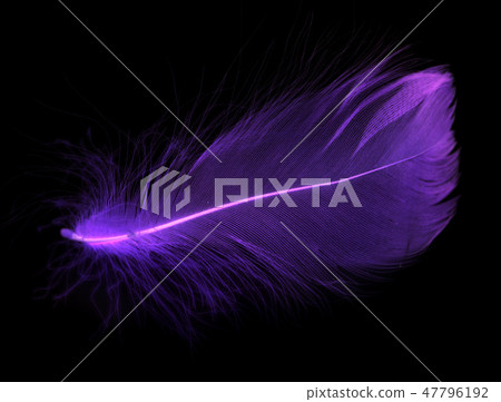 Blue feather on a black background Blue feather on a black background 47796192