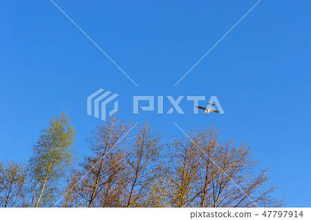 Light passenger plane lands at a private airport Light passenger plane lands at a private airport 47797914