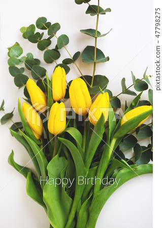 beautiful yellow tulips beautiful yellow tulips 47798275