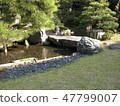 Japanese style garden 47799007