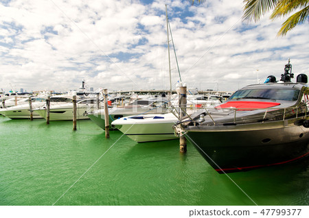Yachts miami marina bay at south beach  cloudy sky 47799377