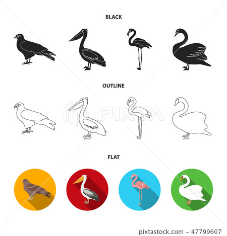 Kite, pelican, flamingo, swan. Birds set collection icons in cartoon style vector symbol stock 47799607