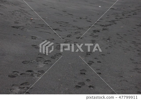 Footsteps Footsteps 47799911