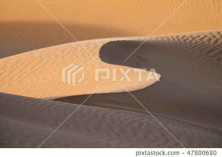 Background with sandy dunes in desert 47800680