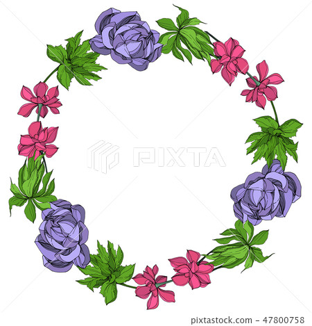 Vector Jungle botanical succulent flower. Engraved ink art illustration. Frame border ornament 47800758