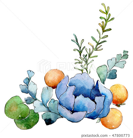 Blue flower. Isolated flower illustration element. Background illustration set. Watercolour drawing Blue flower. Isolated flower illustration element. Background illustration set. Watercolour drawing 47800773