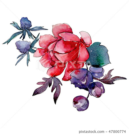 Red flower. Isolated flower illustration element. Background illustration set. Watercolour drawing Red flower. Isolated flower illustration element. Background illustration set. Watercolour drawing 47800774
