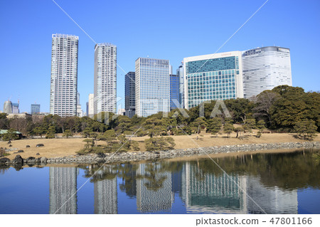 Hamarikyu Hamarikyu 47801166